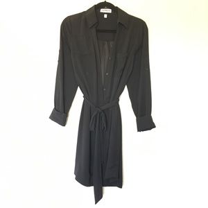 Express Shirt Dress